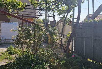 Casa la sol ,3 camere  constructie piatra - 8