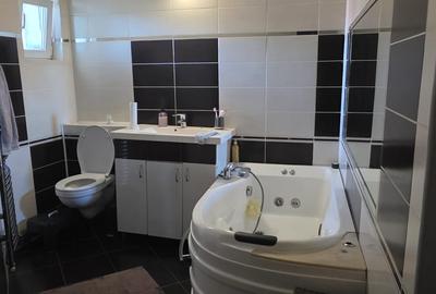 Apartament 3 camere, amenajat si mobilat, 450euro/luna, zona  Alexandru - 10