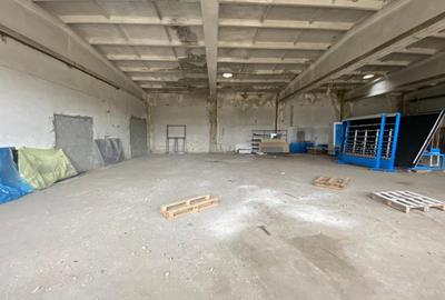 Hale industriale, 30000 mp, teren 65000 mp, zona Podari - 16