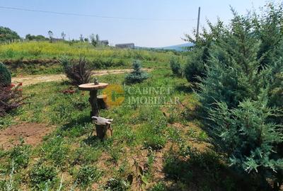 🌿🏡 Casă A-Frame 85 mp  utili 880 mp teren Chicerea Tomești 🏡🌿 - 12