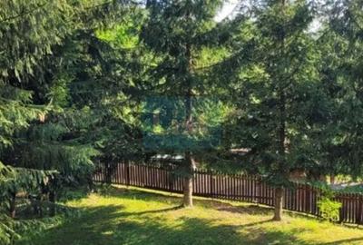 Proprietate Unică în Inima Naturii – Galaoaia, Mureș - 4