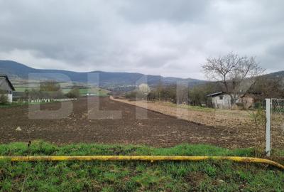 Teren Construcții intravilan de 16000 mp, în Exterior Sud