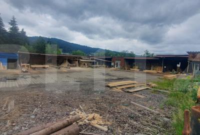 Spațiu comercial, de 3,856.00 mp, în Vatra Dornei