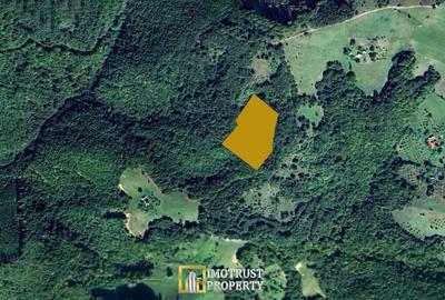 De vânzare teren extravilan  8,2037 ha pădure și pășune Borod, Bihor - 1