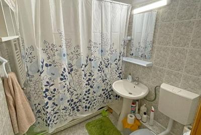 Apartament 3 camere zona Primaverii/Capat 1 , etaj 4 cu sarpanta ,mobilat - 10
