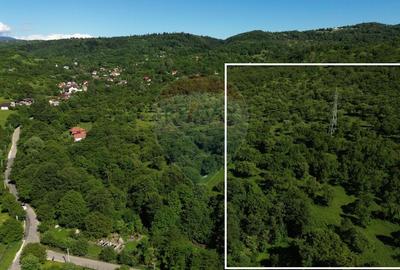 Teren de vânzare in Campulung-Muscel / Strada Ion Giurculescu - 1