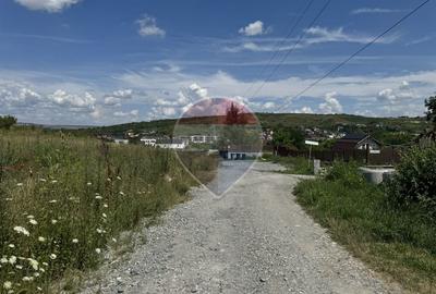 Teren Borhanci 593 mp cu PUD si AC aprobate - 10