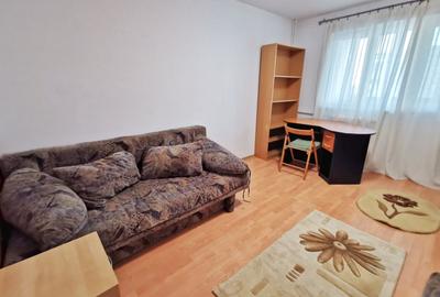 Dristor/Park Lake/Parc IOR/6 Minute Metrou/ - 7