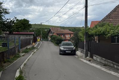 Exclusivitate !! Casa de închiriat 2 camere 48 mp în Dezmir zona centrală - 10