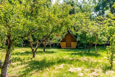 Casă/Vila tip conac, cu anexe si livada de vânzare Valenii de Munte - 8