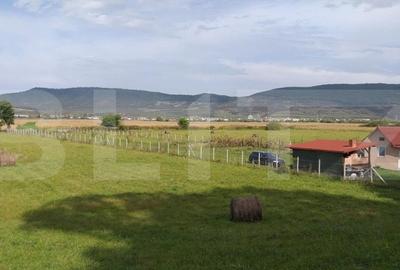 Teren Construcții intravilan de 3000 mp, în Sud-Est