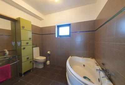 Casă la sol în localitatea Vladimirescu Arad - 9