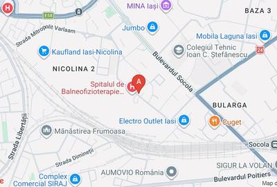 SPATIU COMERCIAL  Langa Piata Nicolina - 8