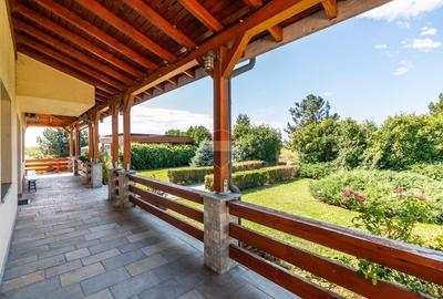 DOMENIU de 5,9 ha I Lac, Casă și Aerodrom – multiple destinații - 43