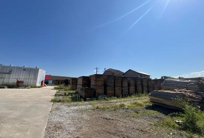 Fabrică de cherestea complet utilată & centru logistic - 4