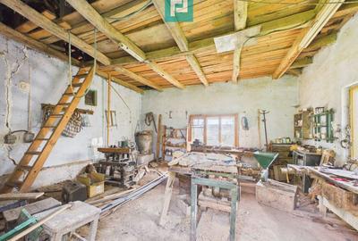 Proprietate rară cu 24.270 mp, în Măgulicea, Arad! - 38