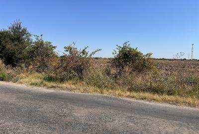 NOVARIS REAL ESTATE – TEREN INTRAVILAN DE VÂNZARE 5600 MP - 3