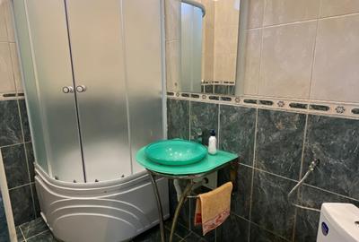 Calarasilor- Piata Muncii, vila 8 camere singur curte si teren 197 mp, - 10