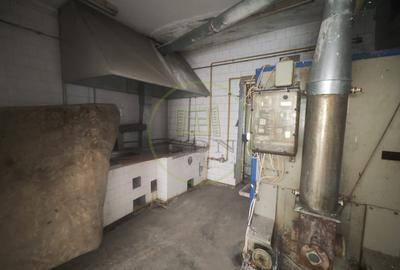 Spatiu comercial 9 camere, casa 2 camere,  teren 354 mp, Brestei. - 7