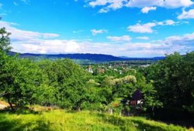 Teren intravilan, 5000 mp, Breaza, Prahova - 2