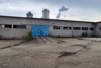 Spațiu Industrial și Logistic - 8