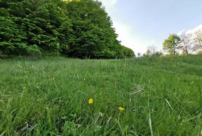 Oportunitate de Investiție - Teren de Basm in Bascov. DIRECT PROPRIETAR. - 9