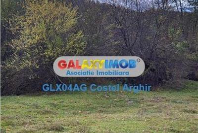 Vindem teren 20000 mp Cheile Rasnoavei - Brasov , pentru case vacanta - 9