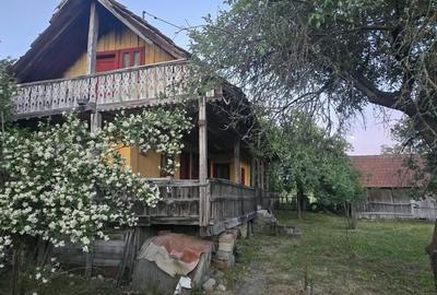 Casă cu 7.769 mp teren și pădure | Budieni | 53.000€ - 12