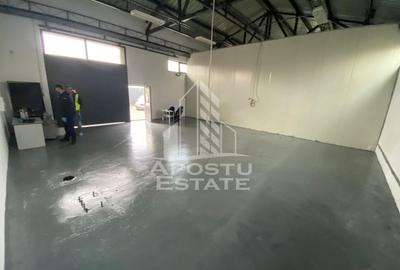 Hala de inchiriat Timisoara - Dambovita, depozitare, service auto - 6