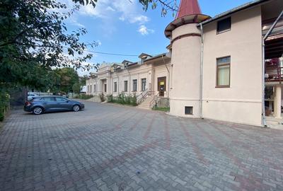 Conac din secolul XIX cu arhitectură pur românească - REABILITAT - 4