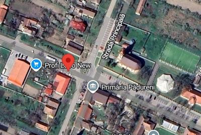 Padureni-Centru-Casa-Pretabil afacere- 980mp - 3