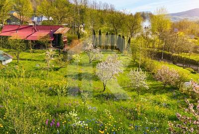 Teren intravilan Slanic Prahova - 1