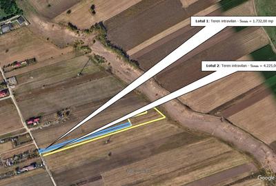 Oportunitate investitie – Teren intravilan in Bacau - 8