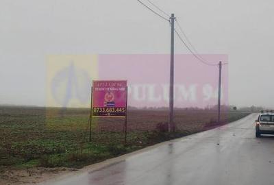 Dragomiresti-Vale, lângă Șoseaua de Centură, pretabil hale, productie - 3