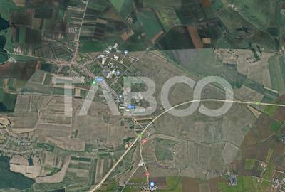 Teren agricol extravilan de 25920 mp, în Șura Mică
