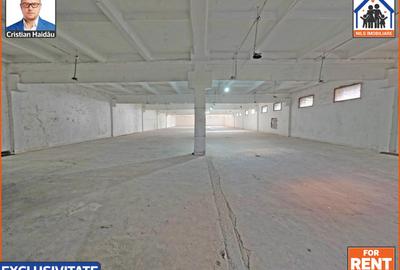 Hale de inchiriat in 1 Decembrie Ilfov | NILS Imobiliare - 6