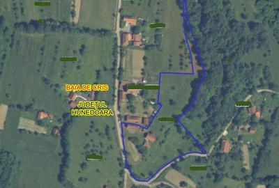 10 000 mp teren intravilan cu priveliste - 20