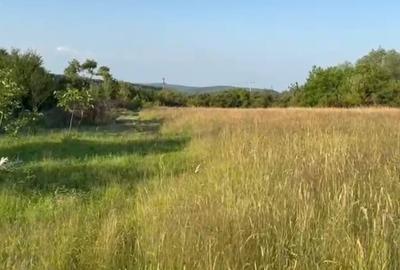 Teren extravilan 554mp, spre vanzare ,Domeniile Orlandea,Sibiel - 1