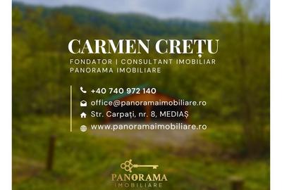 Teren 5.144 mp în Aurel Vlaicu, Sighișoara –excelent pt investiții - 12