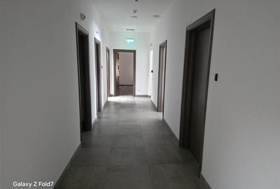 Vanzare depozit/hala/spatiu industrial Theodor Pallady - Drumul Intre Tarlale - - 24