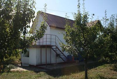 Proprietate deosebita la Vorona pe 1 ha de teren - 5