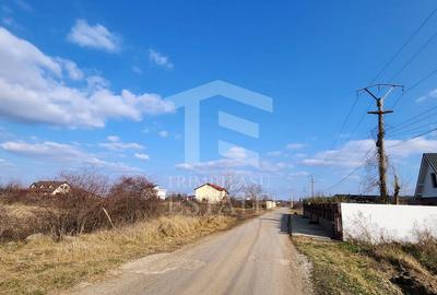 Teren cu deschidere lac Snagov Vladiceasca - 7