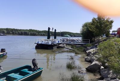 OCAZIE; teren MAHMUDIA 12euro/m.p. Suprafata 5000 m.p. Deschidere la Dunare 48m - 12