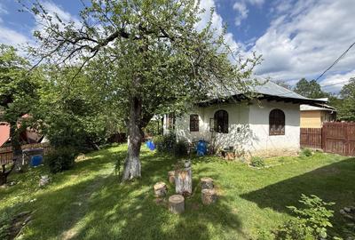 2 Case + teren 1390 mp langa parcul central Provita de Sus - 24