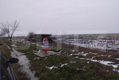 Teren intravilan stradal 17000 mp, toate utilitatile - 1