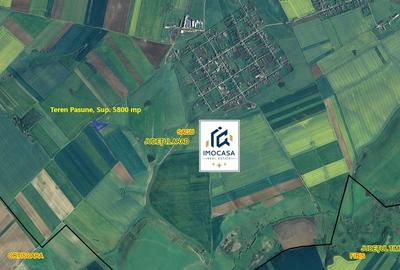 Teren extravilan de vânzare agricol, pășune, Sagu Jud. Arad, 5,42 ha - 2