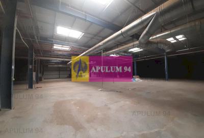 Spatiu Logistic langa Bucuresti Hala 5000 mp - 2