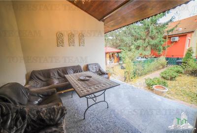 Vila pretabila rezidenta/office Iancu Nicolae - 17