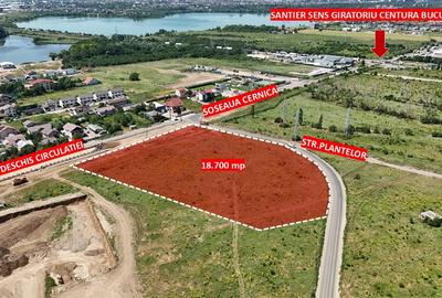 Teren Construcții intravilan de 18700 mp, în Sud-Est
