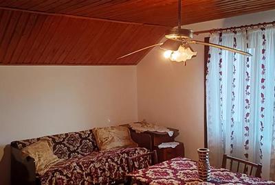 Casa individuala de vanzare in Berzasca, jud. Caras-Severin - 15